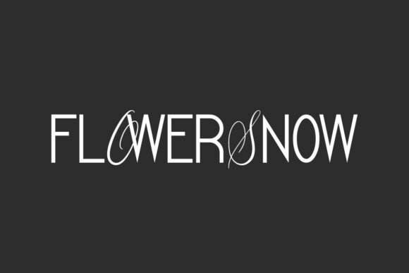 Flower Snow Font: Elegant Serif for Campaign Design