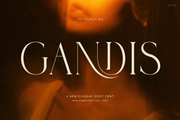 Gandis Serif Font for Professional Small Business Branding
